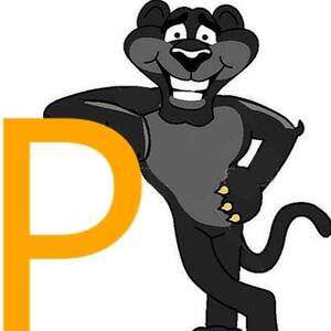 Team Page: Pangborn Elementary School